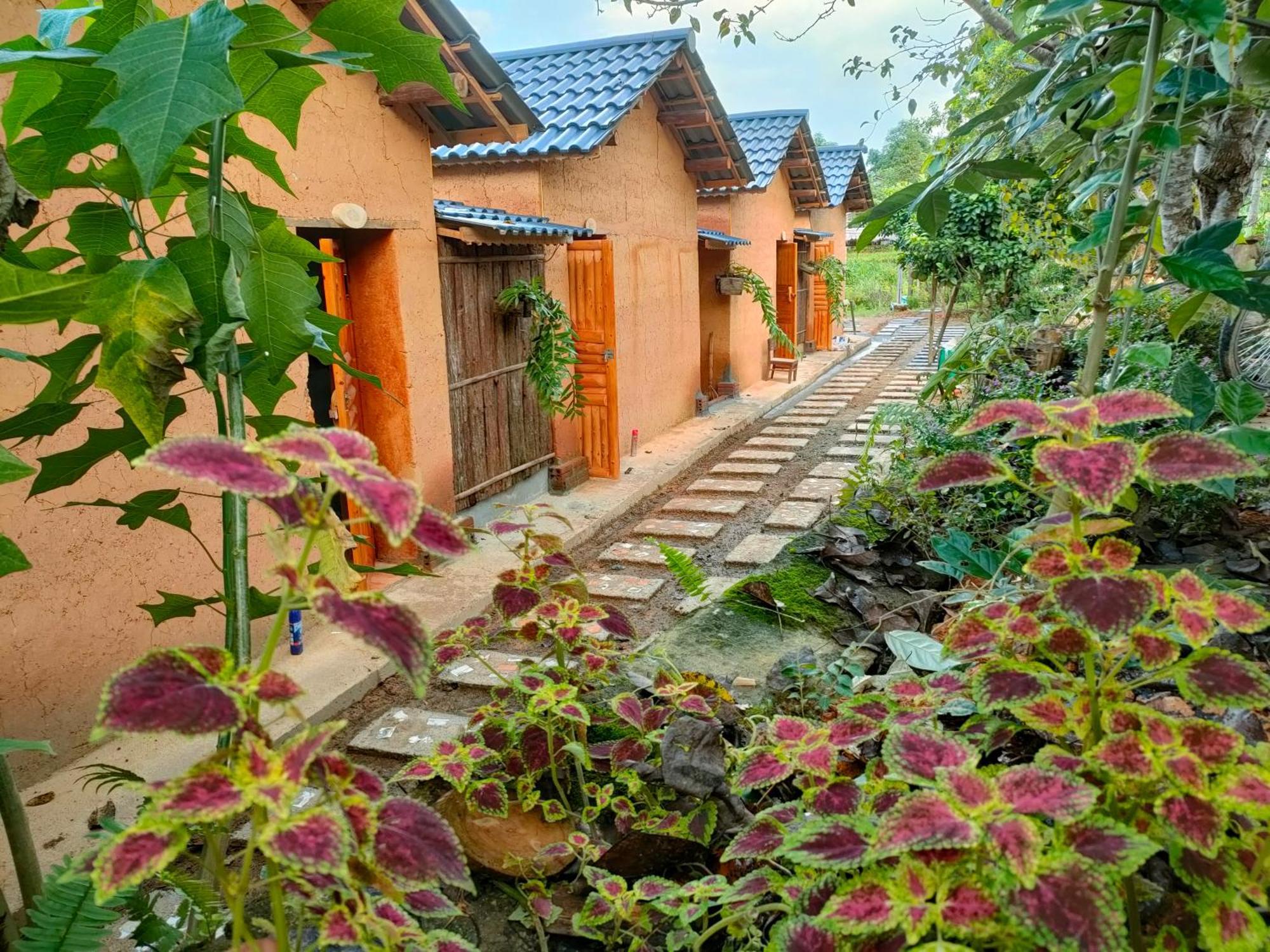 Ly Danh Homestay Quan Ba Pokój zdjęcie